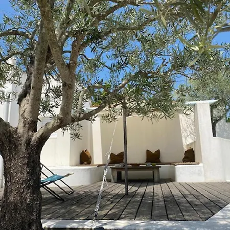 Les Elfes 150 M De La *