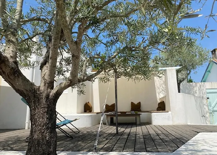 Les Elfes 150 M De La *